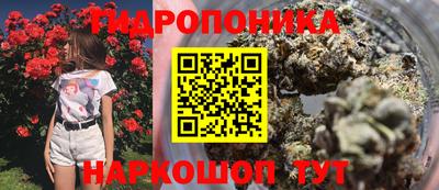 ECSTASY Нальчик